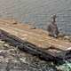 Image for article titled The U.S. Navy's Big Beautiful New Carrier Has Hilariously Messed Up Toilets